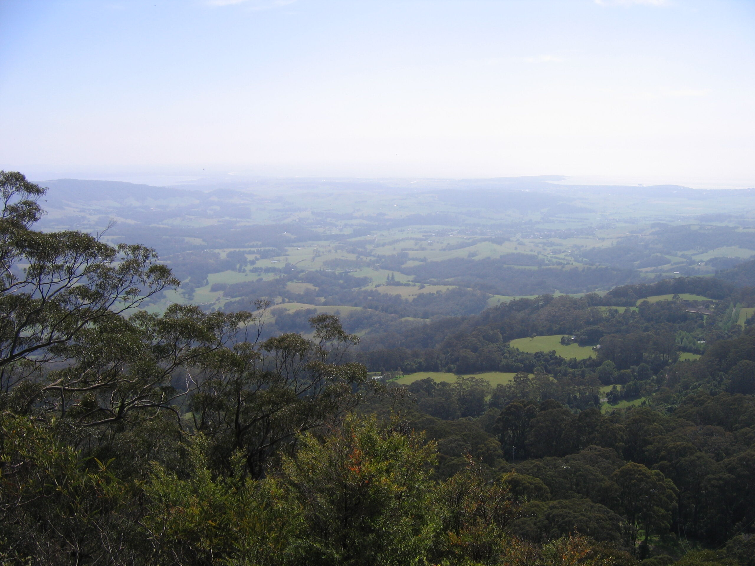 Nsw Illawarra News & Weather - 6n5csda